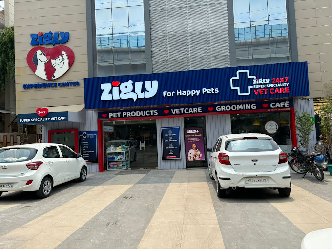 Zigly – Vet Clinic, Pet Grooming & Pet Products